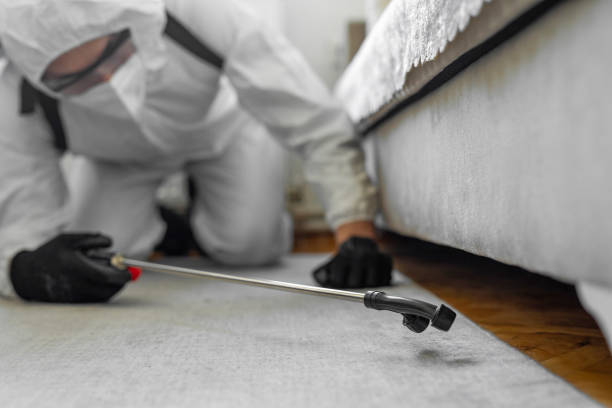 Professional Wasp Control technician working in South Fallsburg, NY