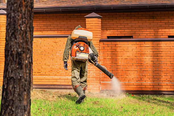 Trusted Cockroach Control service in South Fallsburg, NY - Nex Pest Control